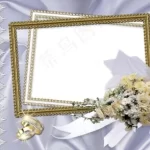 老虎机万能遥控器手机版:万能遥控手机版 V6.5.3 安卓版 65474vx8p9