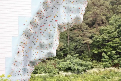 金花娱乐城：初中学历男子开赌博网站：81万名会员，3个月非法获利过亿