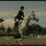 易博:国内如何开通esim,教程来啦~ QOXTOEnbTq